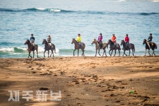 시원하게 즐기는 해변 승마