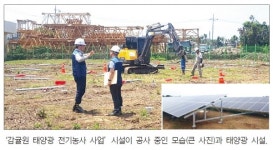 감귤원 태양광 사업 드디어 결실 볼까