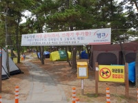 이호해수욕장 얌체텐트에 몸살