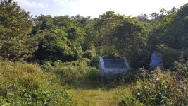 그들은 살기 위해 끝없는 어둠 속으로 들어갔다