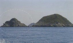 (22)울퉁불퉁 바위 틈에 피어난 자연-돌도1·돌도2