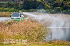 성산읍 오조리 철새도래지서 AI항원 검출