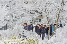 설국으로 변한 1100도로