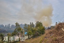 방풍림 소각으로 연기로 가득