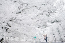 기습 한파에 하얗게 변한 1100도로