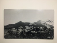 흑백 사진에 담긴 오름, 제주를 담다