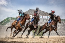 렛츠런파크 제주, 말(馬)과 함께하는 제주 원데이 투어 관광상품 출시