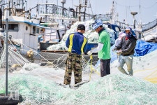 만선을 기원하며