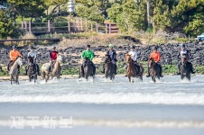 시원하게 달리는 해변 승마