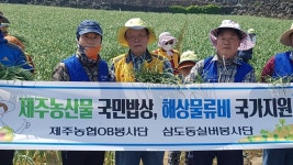 제주농협OB봉사단-중앙경로당 실버봉사단, 농촌 일손돕기 활동