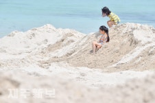 개장 앞둔 해수욕장의 모래언덕