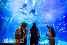 바다 속 구경하며 더위를 잊다