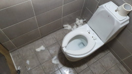 휴지통 없는 공중화장실 유명무실