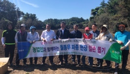 성산일출봉농협, 월동무 파종 작업 일손돕기 활동