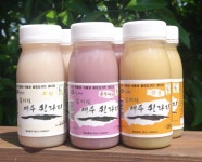 느티나무, 제주의 허파 곶자왈의 생명력을 담다