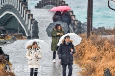 겨울바다 우중 산책