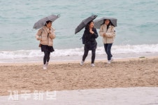 겨울바다 우중 산책