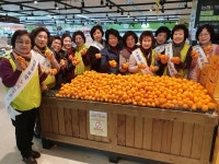 고향주부모임 제주도연합회, 감귤 판촉행사
