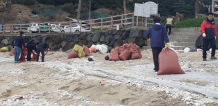 조천읍, 함덕해수욕장에서 환경정화 활동