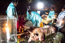 신들의 고향, 제주 마을제 봉행 잇따라