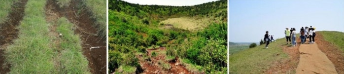 제주 오름 입산통제·도립공원 추진 주목