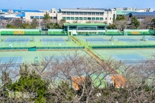 코로나19에 텅빈 테니스장