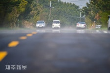 봄볕에 안개와 아지랑이가 피어 오르는 제1산록도로