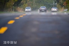 봄볕에 안개와 아지랑이가 피어 오르는 제1산록도로