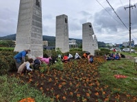 상모2리·구억리부녀회, 도로변 꽃길 조성