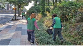 일도2동새마을부녀회, 인도변 화단 정비 활동