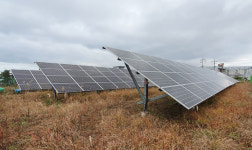 태양광사업 권장 해놓고 나 몰라라