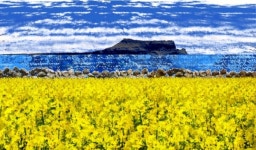 생활 속 소품에 제주의 바다를 담다