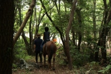 한적한 마을에서 휴식과 놀이 모두 즐겨요