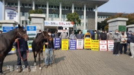코로나19 여파에 경주마 생산농가 도산 위기 악화