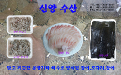 (4)신양수산-용암지하 해수로 광어 등 양식