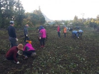 서귀포시여성단체협의회, 경제살리기 캠페인 전개