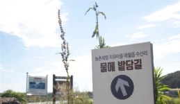 잔잔한 저수지 물결서 느끼는 수몰 마을의 비애