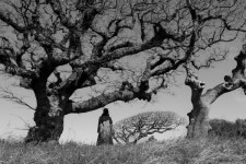 제주인들과 희노애락 함께한 퐁낭 카메라에 담다