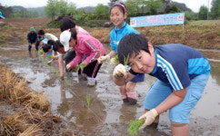 친환경 농산물 내 손으로 경작