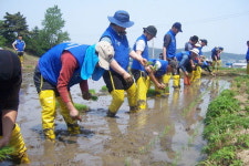 코레일·동해병원 농촌봉사