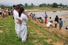 금광초교 학산오독떼기 모내기 체험