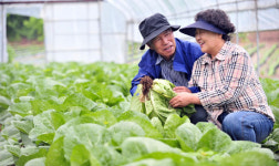 노년 재혼 황윤근·한복실 부부 인생 2막