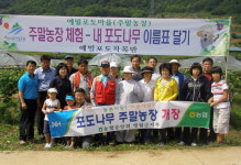 농협 영월군지부 주말농장 개장