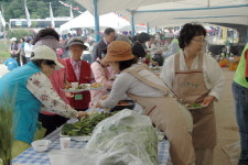 평창 대하리 곤드레축제