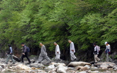 길 따라 이야기따라 강원산하 한바퀴
