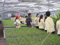 새터민 농업현장 체험