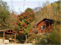 [녹색세상에 빠져보자] 도내 자연휴양림 올 가이드 - 4