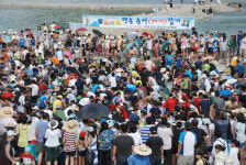 영월 동강축제 맨손 송어잡기