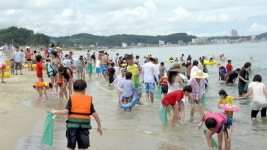 양양 정암해수욕장 맨손조개잡이 성료