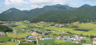 [내고장  우리마을] 홍천군 동면 노천1리